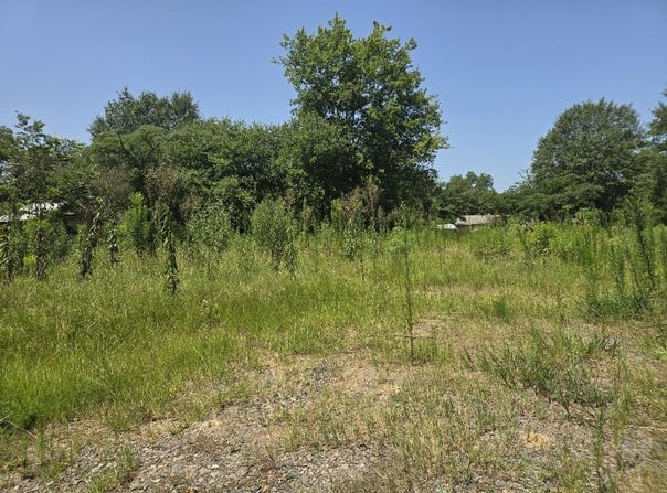 307 Washington, Linden, TX 75563