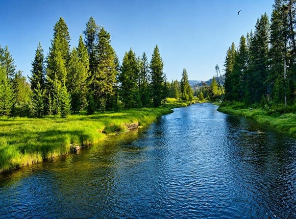 Secesh River Road, Secesh, ID 83547