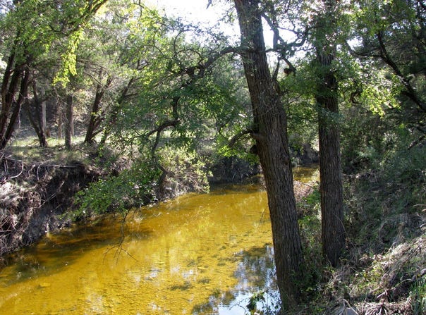 PR 42112, Evant, TX 76525
