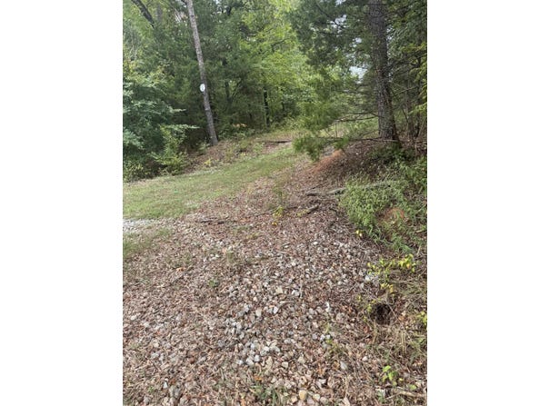 Brady Mountain Cutoff, Royal, AR 71968
