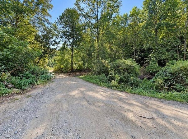 Easter Hollow Road, Ridgeview, WV 25169