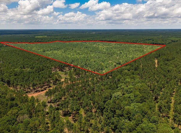 Parcel # 12446 CR 460, Etoile, TX 75944