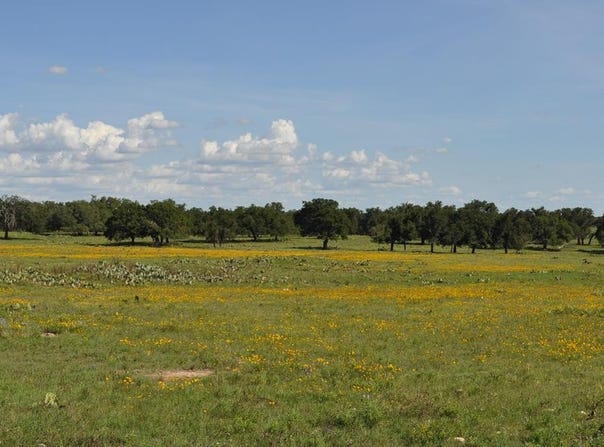 18043 FM 479, Harper, TX 78631