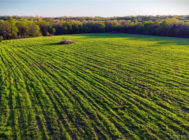 Brainerd, Crocker, MO 65452
