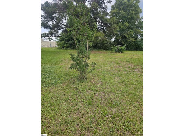 201/203 Dillon Drive, Clinton, SC 29325