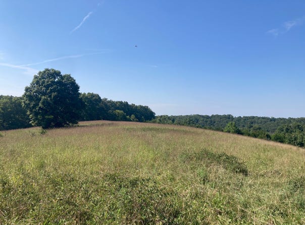 Osceola Road, Bruner, MO 65620