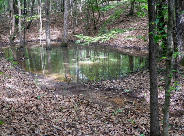 Bay Lane, Harrisburg, AR 72432
