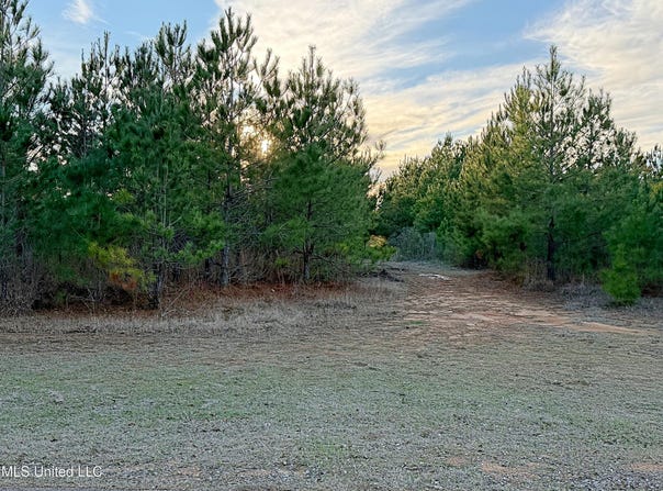 Airport Road, Carthage, MS 39051