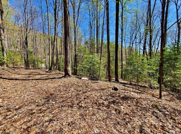 Hemlock Falls Drive lot: 9, Sylva, NC 28779