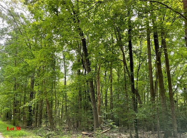 Wicomico Drive lot: 38, Heathsville, VA 22473