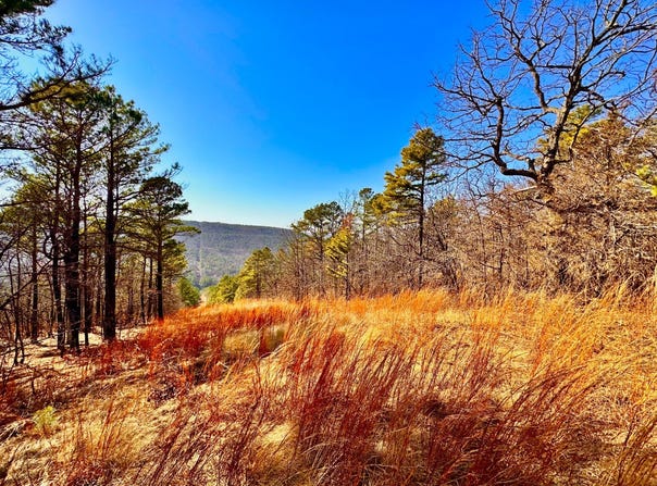 206 Acres D1345 Rd, Red Oak, OK 74563