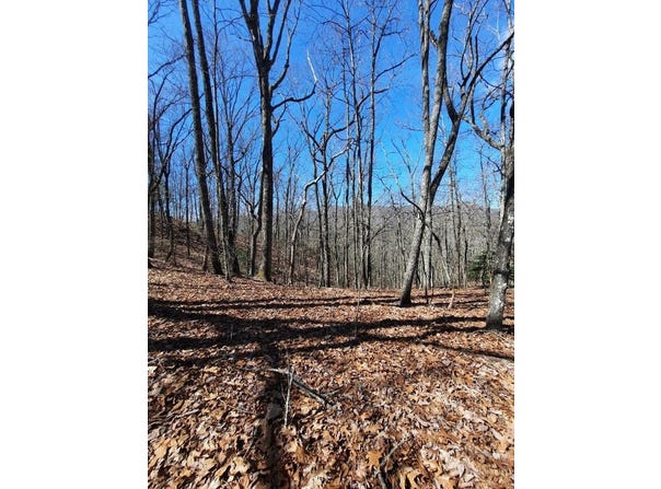 Quail Run Ridge, Murphy, NC 28906