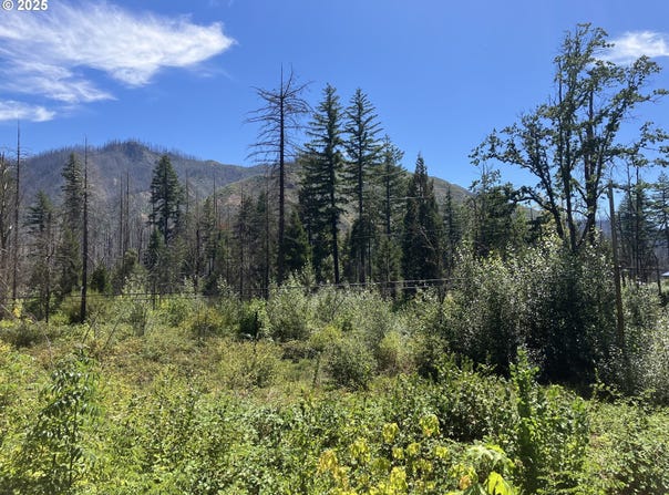 Blue River Dr, BlueRiver, OR 97413