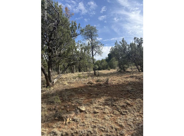 1522 Foxtail Lane, Heber, AZ 85928