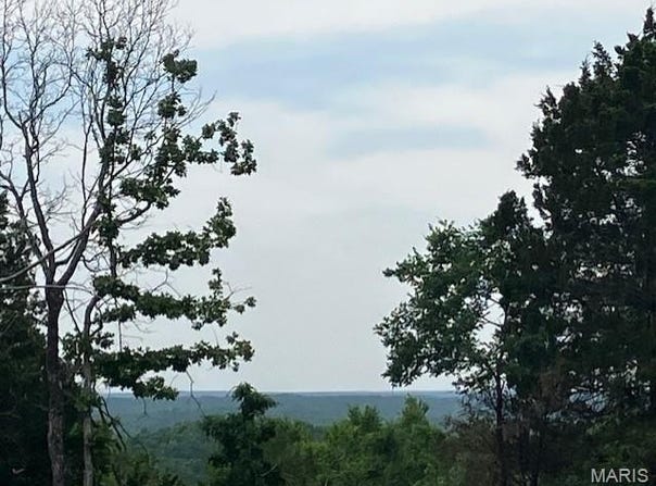 285 Madison CR 410, Fredericktown, MO 63645