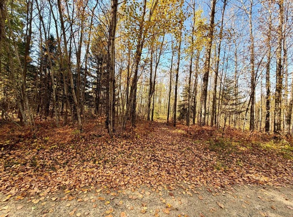 County Road 303, Deer River, MN 56636