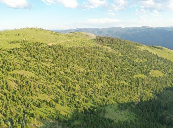 6 Tract, Garnet Range, Drummond, MT 59832