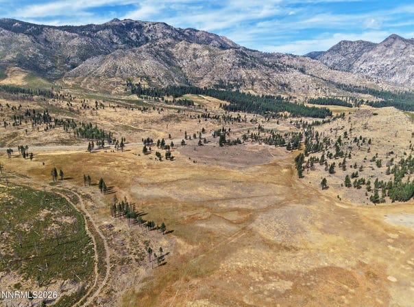 APN 047 State Route 89, Markleeville, CA 96120