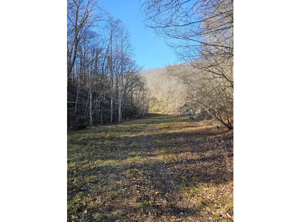 Lick Fork Road, Sandy Hook, KY 41171
