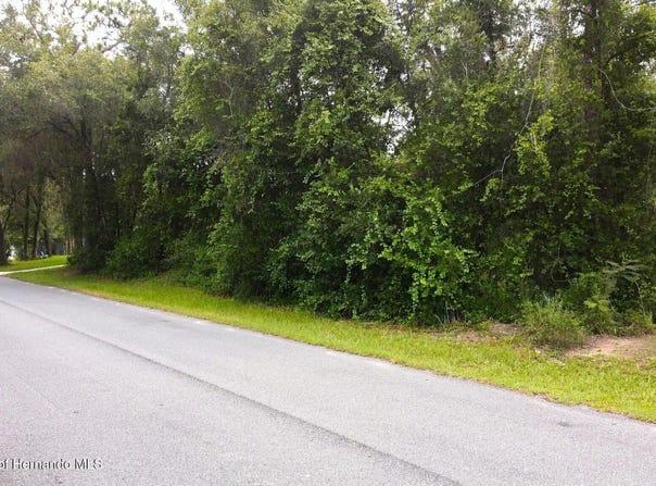 6982 N Palmer Way, Hernando, FL 34442