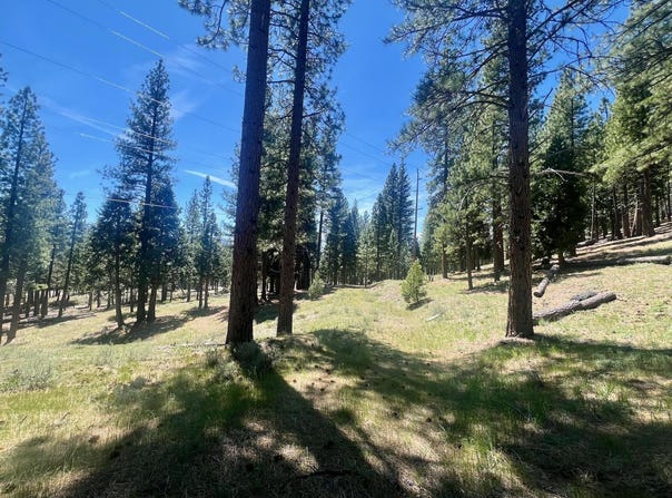 69867 Woodside Drive, Blairsden, CA 96103