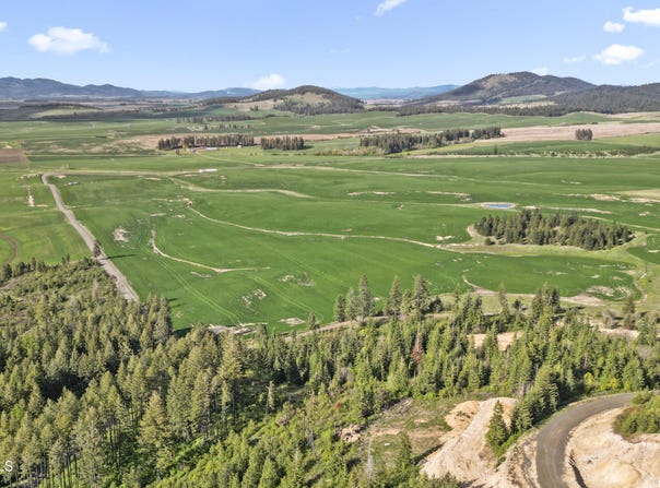 Lone Moose Dr lot: 1, Plummer, ID 83851