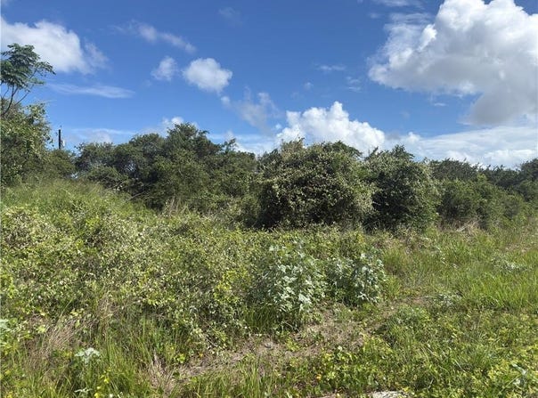 S 10th, Aransas Pass, TX 78336