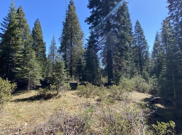 3-E-7 Mt Shasta Dr, McCloud, CA 96057