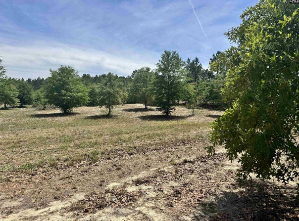 1353 Cheraw Rd, Cassatt, SC 29032