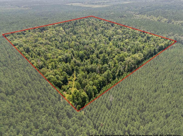 9808 Forestry Rd, Sheridan, AR 72150