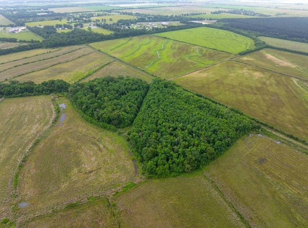 HWY 383, Kinder, LA 70648