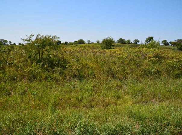 67 E 63 RD, Lecompton, KS 66050