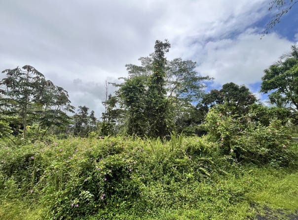 LEHUA RD, Pahoa, HI 96778