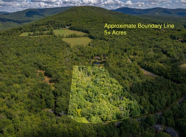 Joe Todd Road, Fleischmanns, NY 12430