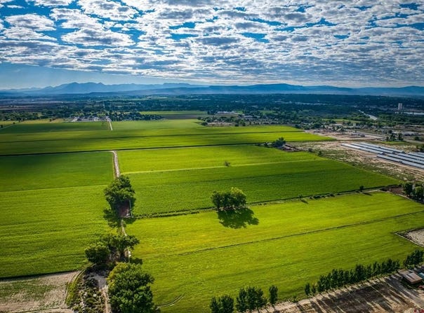 1449 Highway 50, Delta, CO 81416