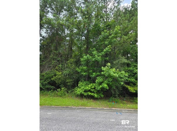 Shenandoah Drive, Spanish Fort, AL 36527