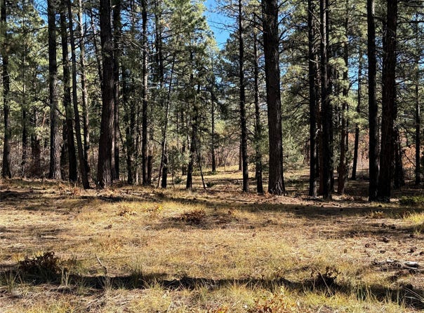 Venado, Chama, NM 87575