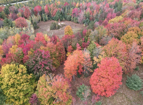 U.S. 131, Kalkaska, MI 49646