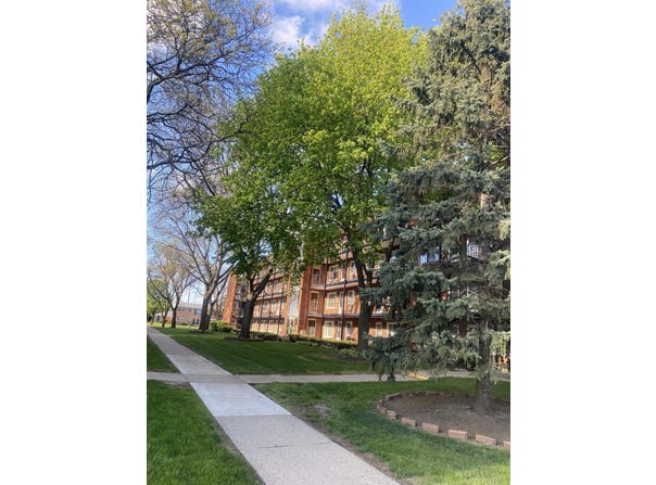 2915 W 13 Mile Road, Royal Oak, MI 48073