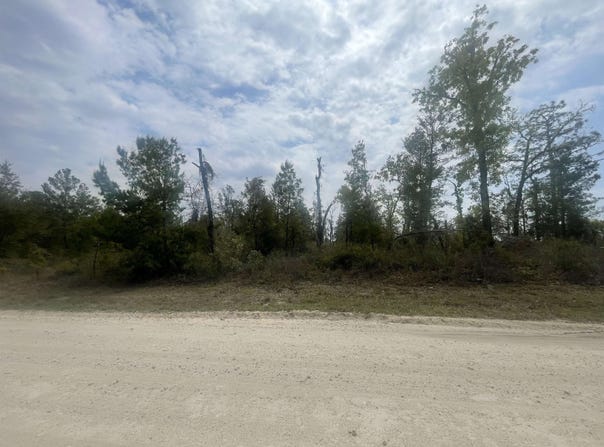 E Royal Oak Drive, Keaton Beach, FL 32348