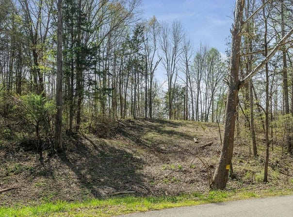 Big Springs Farm - Tract 23 10.85 Acres, Monroe, TN 38573