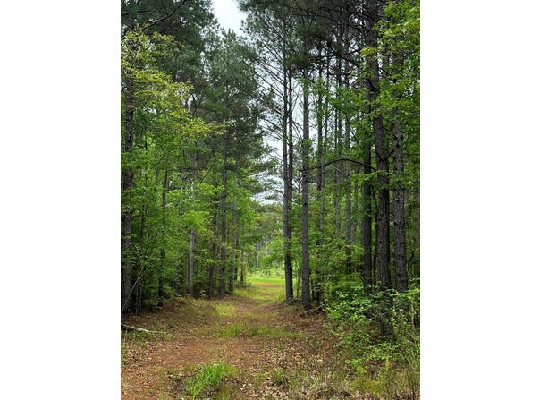 HWY 331, OXFORD, MS 38655