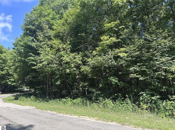 0 ANTIOCH DRIVE, MESICK, MI 49668