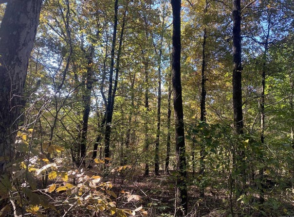 Jensen Road, Mountain View, AR 72560
