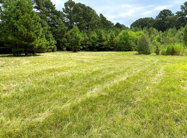 1992 BUCK WRIGHT ROAD, Ashdown, AR 71822