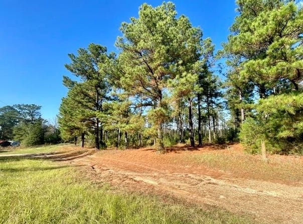 1407 Miller County 3, Doddridge, AR 71834