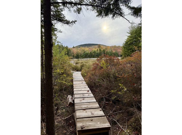 Pine Hill Lane, Blue Hill, ME 04614