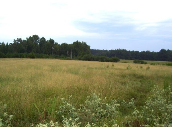 201 LR 725, Ashdown, AR 71822