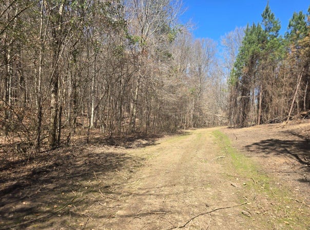 Highway 82 E, Centreville, AL 35042
