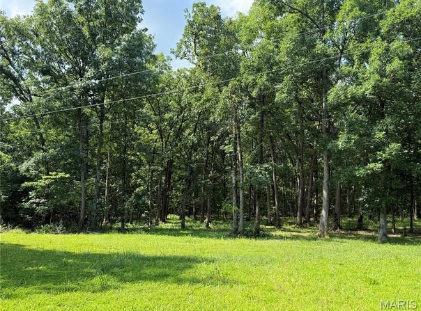 Clinton Place, Monroe City, MO 63456